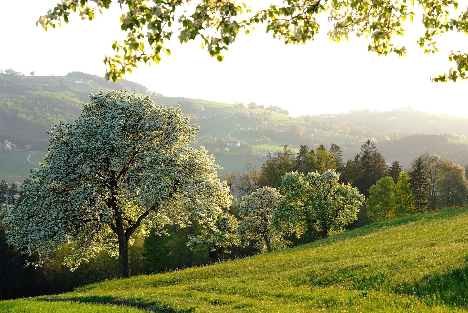 DSCF1948.JPG