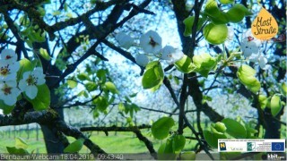 MV Webcam.jpg