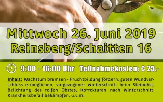 Plakat Sommerschnittkurse_Reinsberg_2019.jpg