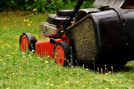 rasenmäher pixabay lawn-mower-2430725_1920