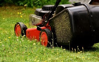 rasenmäher pixabay lawn-mower-2430725_1920.jpg