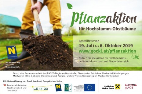 Info_klein