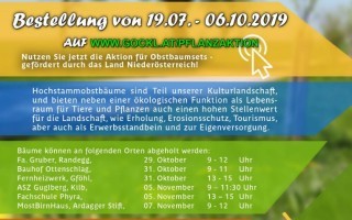 Baumpflanzaktion_Info.jpg