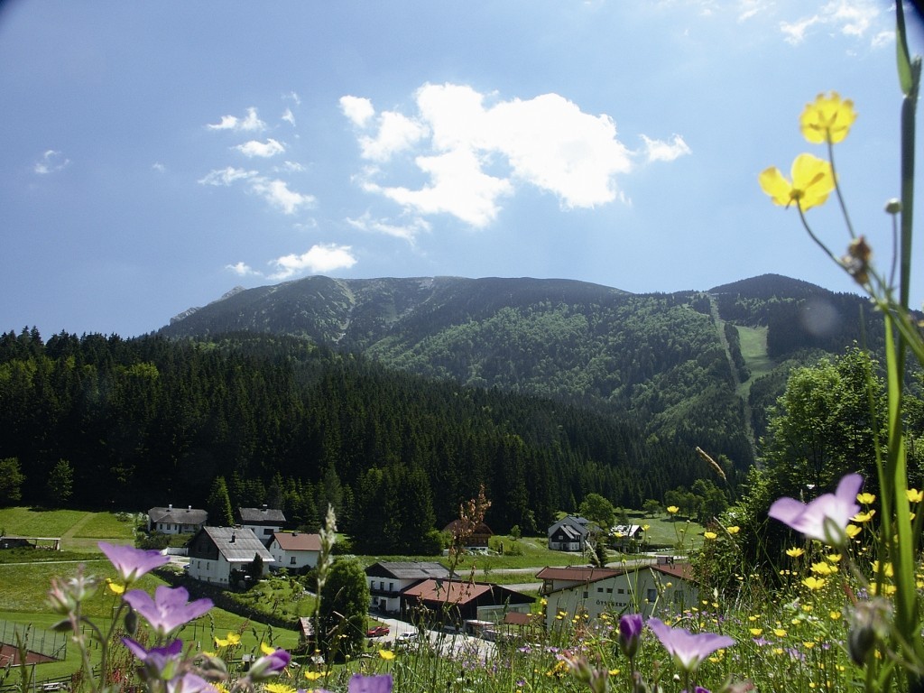 Oetscher Sommer.jpg