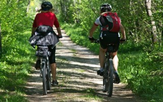 radfahren pixabay cycling-2520007_1920.jpg