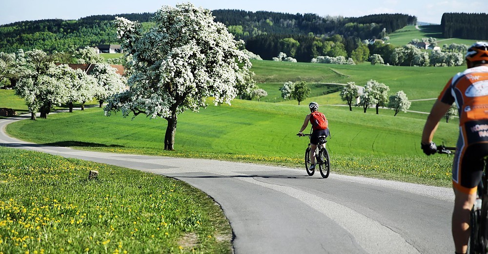 Radweg1.jpg