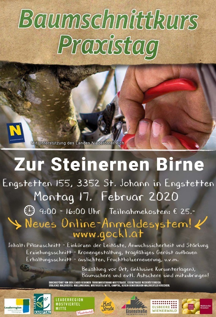 Praxistag_St.Johann Engstetten.jpg