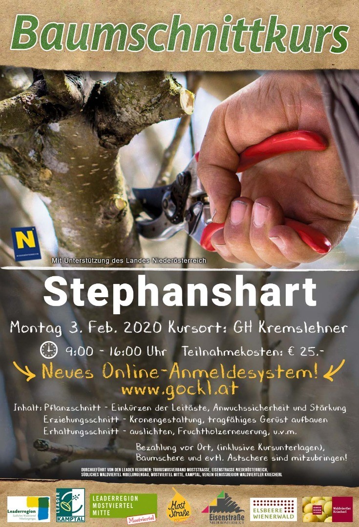 Vorlage_Stephanshart.jpg