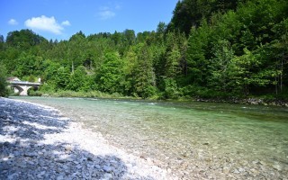 DSC_4107.JPG