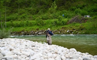 DSC_4080.JPG