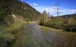 IMG_20190424_151827.jpg