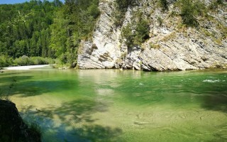 IMG_20190603_153245.jpg