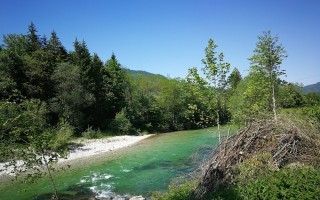 IMG_20190603_154302.jpg