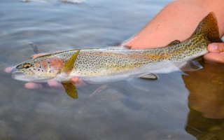 DSC_5711.jpg