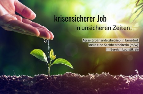 Bild zum Stellenangebot