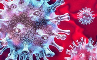 csm_Coronavirus_bd14f87d2e.jpg
