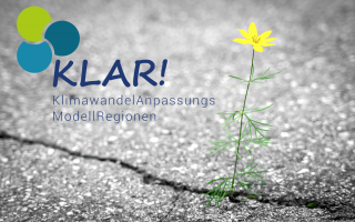 Klar_mitBlume.png