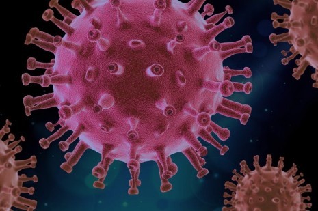 corona_pixabay_virus-4937553_1920 hp