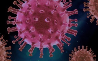 corona_pixabay_virus-4937553_1920 hp.jpg