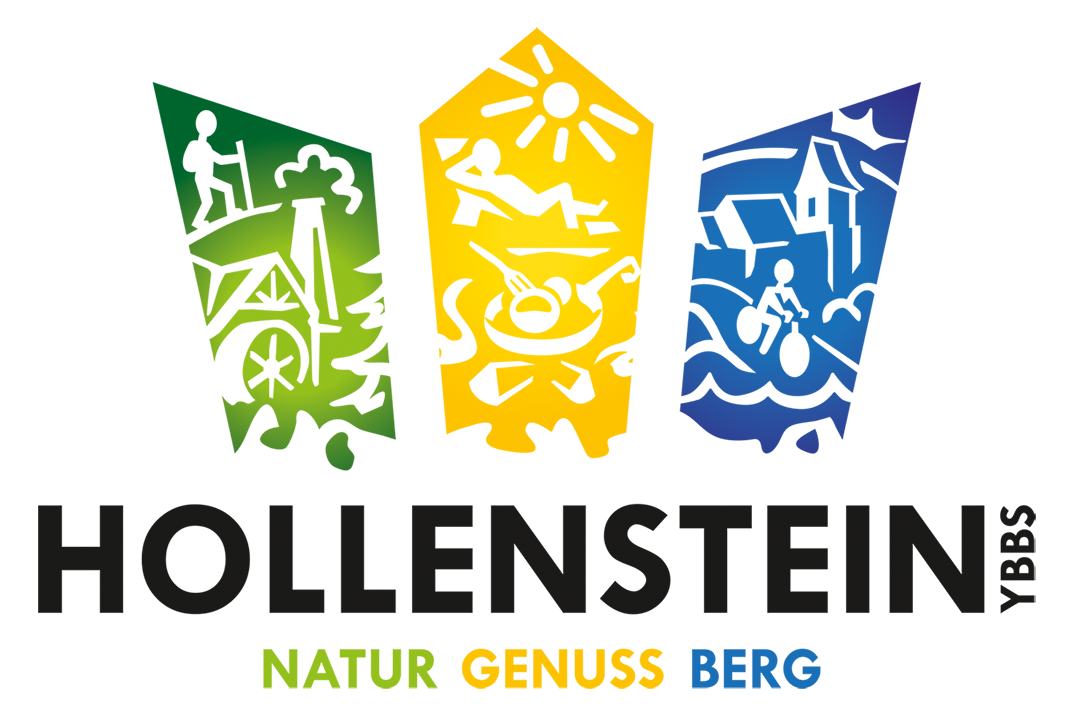 Hollenstein - Logo_HollensteinY-NGB-Gr_web.png