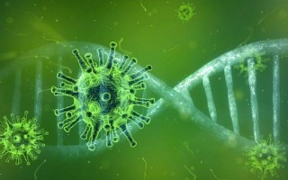 coronavirus-4833754_640.jpg