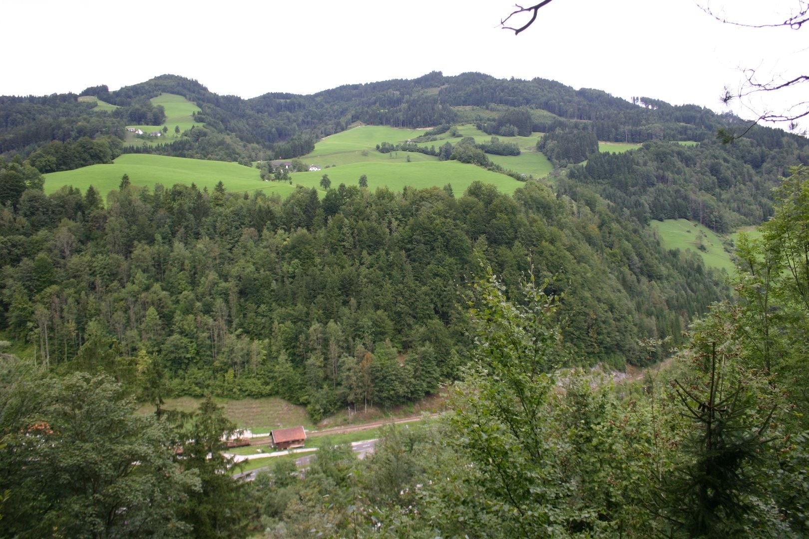 IMG_5451.JPG