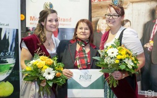 Krönungsfest 2018 Sponsor Preßl Cc Mostropolis.jpg