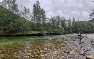 IMG_20200831_172102.jpg