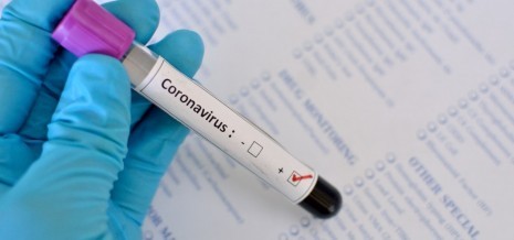 coronavirus