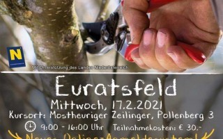Baumschnittkurs