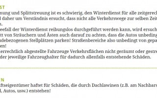 winterdienst und dachlawinen.JPG