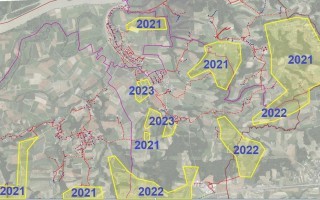 Glasfaser Ausbaustand 2021-2023.jpg