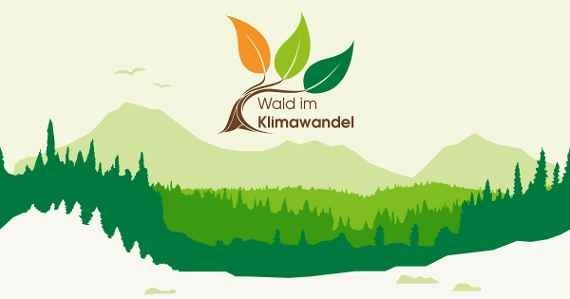 klimafitterwald2