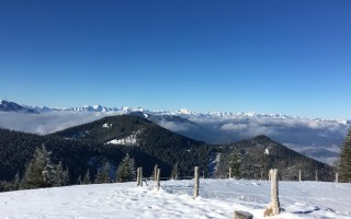 IMG_1080.JPG