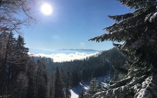 IMG_1067.JPG