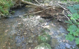 FO-210310-kr-Ybbstal-Beispiel-Wildbach-2-C-Maschinenring-Service-NOE-Wien.jpg