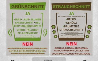 Grün-Strauchschnitt.jpg