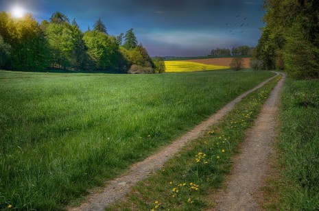 landschaft_pixabay