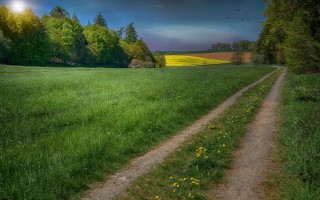 landschaft_pixabay.jpg