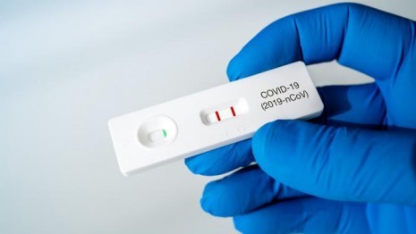 Schnelltest