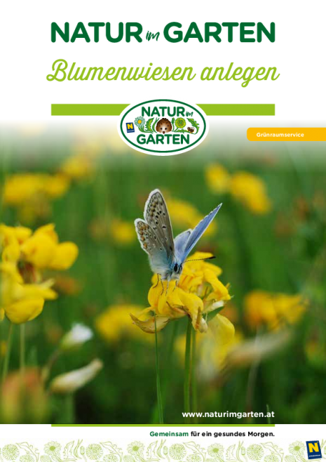 Natur im Garten_Blumenwiesen anlegen.pdf