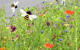 blumenwiese2.jpg