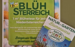 bluehsterreich.jpg