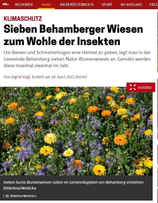 20210504_Sieben Behamberger Wiesen zum Wohle der Insekten.JPG