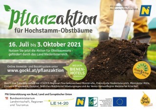 Pflanzaktion_2021_Moststrasse.jpg