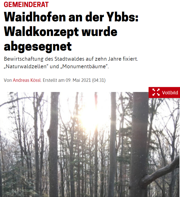 NOEN_KW19_Waldkonzept-WY.PNG