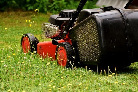 rasenmäher pixabay lawn-mower-2430725_1280