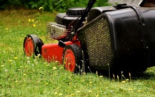rasenmäher pixabay lawn-mower-2430725_1280.jpg