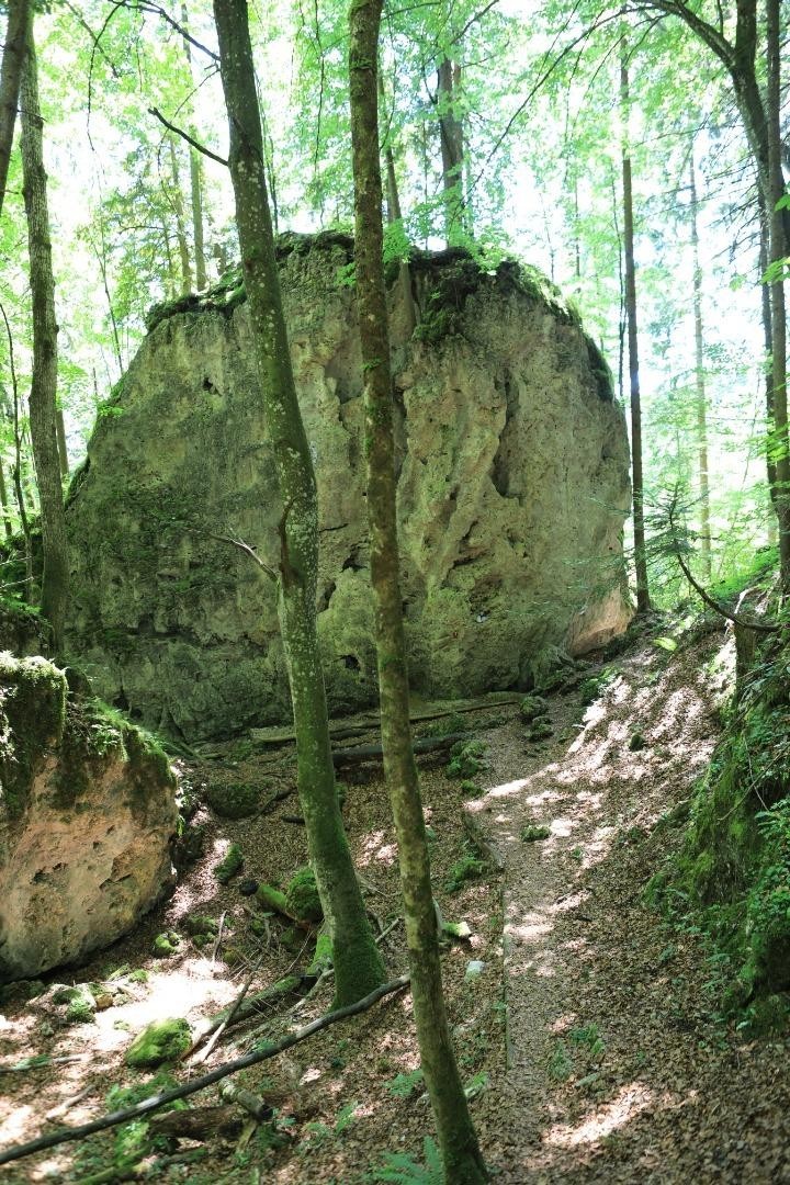 3N0A4061 - Kopie