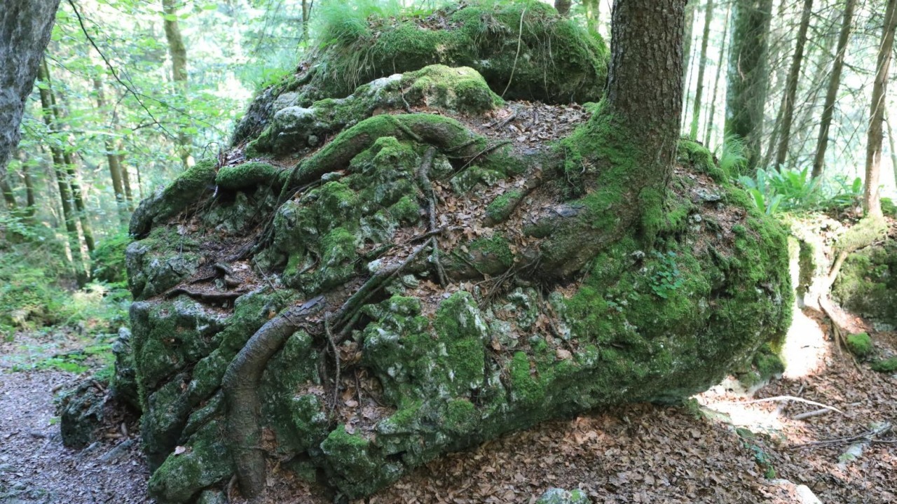 3N0A4238 - Kopie.JPG